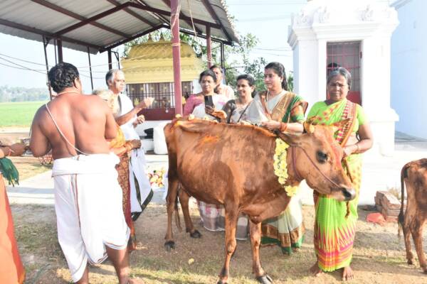 Gou Pooja